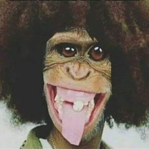 Meet your Posher, Dee